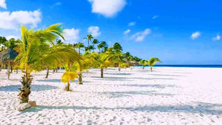 Eagle Beach Aruba Cruise Port Photo of Eagle Beach in Aruba