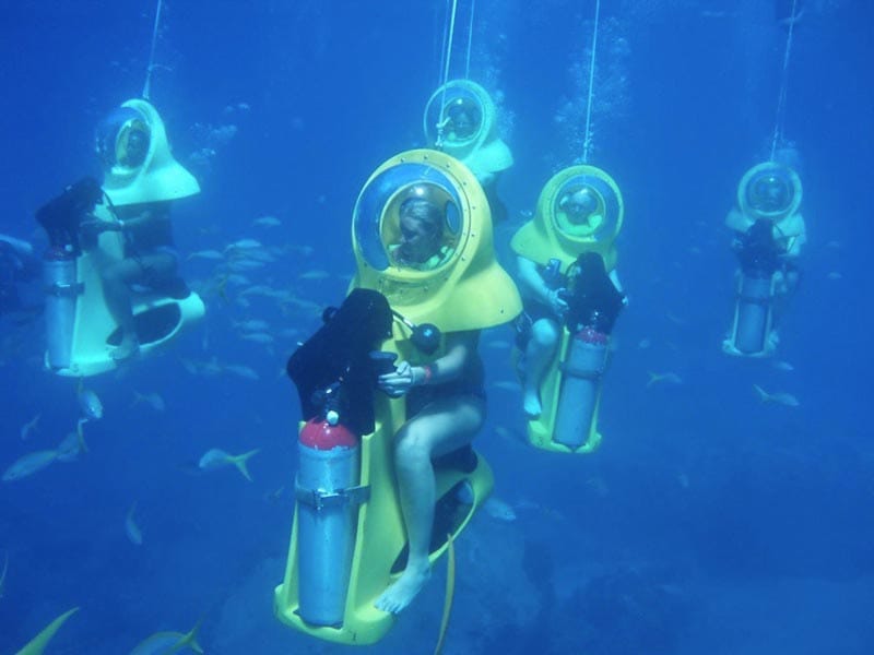 Photo of Boss Underwater in St Thomas USVI.