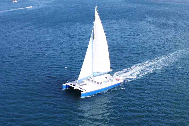 Photo of Turtle Cove Sail in St Thomas USVI.