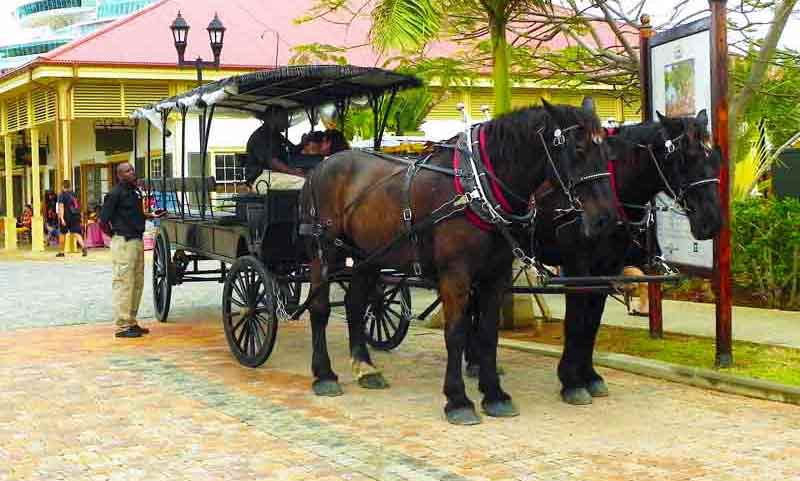 Horse Drawn Tour Cruise Port Falmouth, Jamaica Photo of Horse Drawn Tour in Falmouth, Jamaica