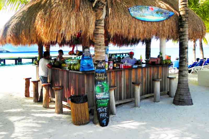Coconut Lounge Grill (Puerta Maya Terminal) Cozumel Cruise Ship Port Photo of Coconut Lounge Grill (Puerta Maya Terminal) in Cozumel