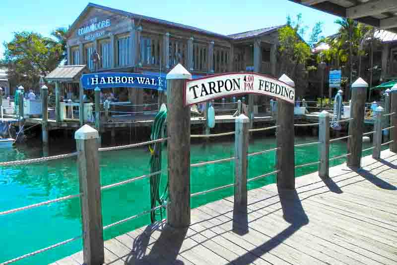 Harbor Walk Key West Cruise Port Photo of Harbor Wak in Key West