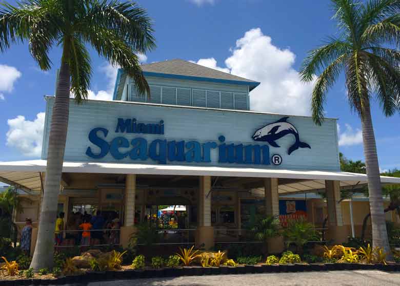 Seaquarium Miami Cruise Port Photo of Seaquarium in Miami
