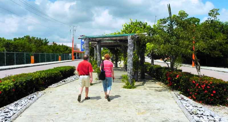 Road Outside Terminal Costa Maya Cruise Ship Port Photo of Road Outside Terminal in Costa Maya