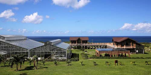 Eco-Park Saint Kitts Cruise Port Photo of Eco-Park in Saint Kitts.