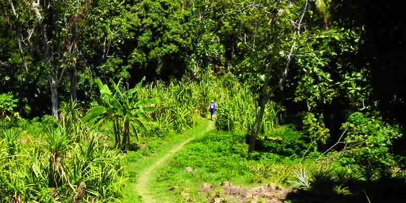 Track to West Beach in Dravuni, Fiji