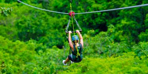Zip Line Saint Kitts Cruise Port Photo of Zip Line in Saint Kitts.